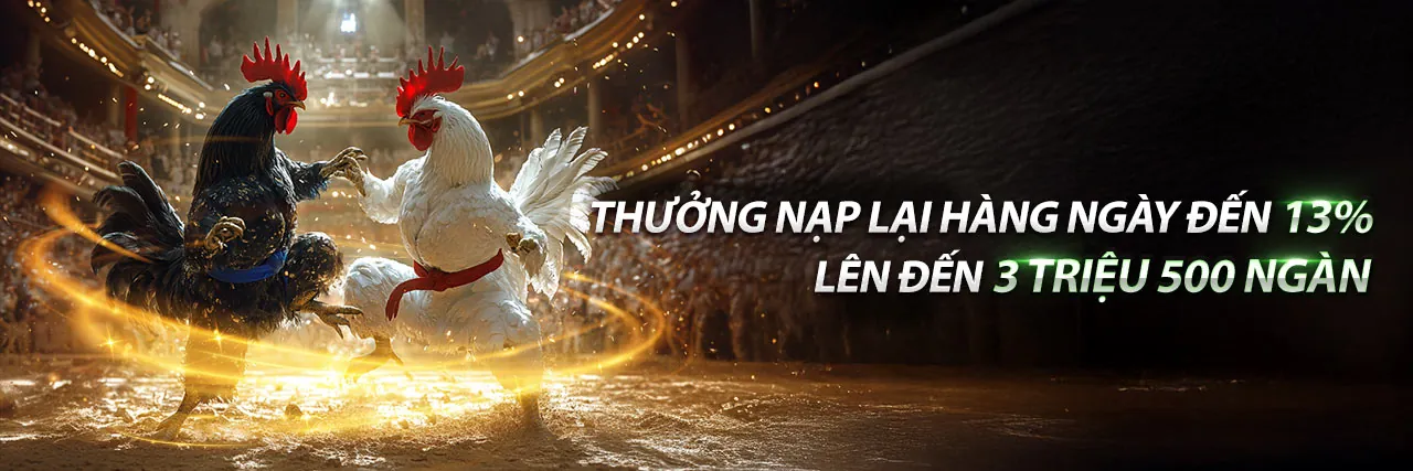 Hình ảnh chính Câu lạc bộ VIP rik, thể hiện sự sang trọng và độc quyền