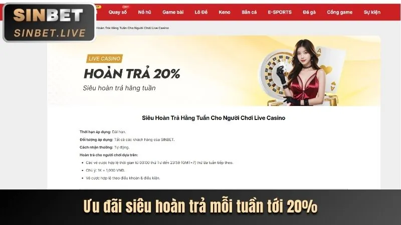 Hoàn trả cược cao cấp